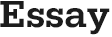 Essay