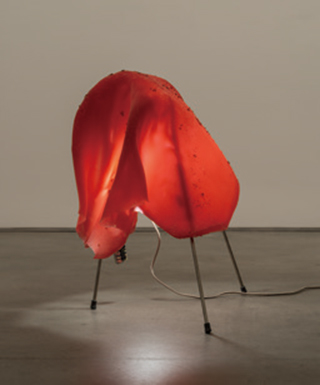 〈Anicka Yi: Being Where You Are〉